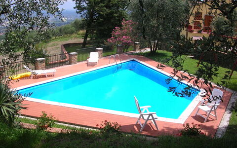 Aurora: Piscina, Proprietà, Tempo Libero, Erba, Casa, Immobiliare, Backyard, Rettangolo, Costruzione, Cortile