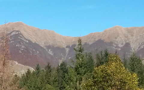 Ai Cuori: Geografia Montane, Montagna, Natura Selvaggia, Highland, Vegetazione, Collina, Cresta, Catena Montuosa, Hill Station, Albero