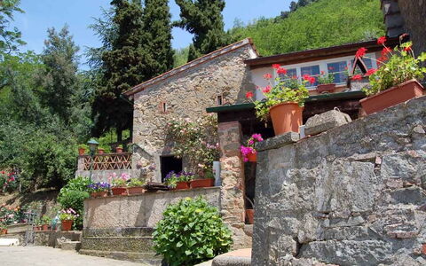 Borgo Antico Paolo: Proprietà, Costruzione, Villaggio, Parete, Casa, Area Rurale, Muro ​​Di Pietra, Villetta, Albero, Turismo