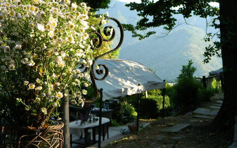 Emilia: Pianta, Albero, Casa, Erba, Tempo Libero, Cielo, Paesaggio, Fiore, Arbusto, Banco