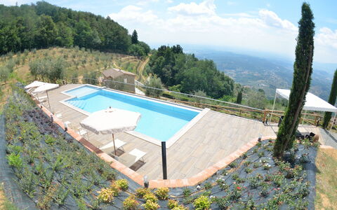 Villa Orchidea: Piscina, Proprietà, Villa, Casa, Immobiliare, Costruzione, Estate, Vacanza, Appartamento, Tempo Libero