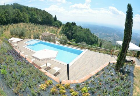 Villa Orchidea: Piscina, Proprietà, Villa, Casa, Immobiliare, Costruzione, Estate, Vacanza, Appartamento, Tempo Libero