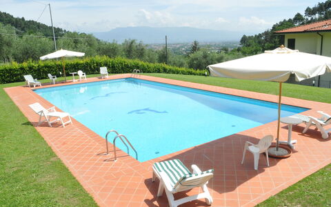 Villa Vaniglia Proprietà: Piscina, Proprietà, Erba, Tempo Libero, Immobiliare, Casa, Shade, Rettangolo, Costruzione, Villa
