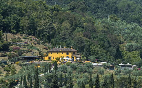 Villa Solaria: Hill Station, Vegetazione, Paesino Di Montagna, Albero, Collina, Area Rurale, Villaggio, Casa, Foresta, Montagna