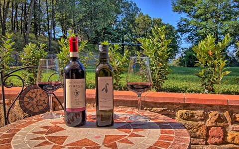 Sole Nel Prato: Bevanda, Bottiglia, Bevanda Alcolica, Liquore, Bottiglia Di Vino, Paesaggio, Erba, Albero, Bottiglia Di Vetro, Vino
