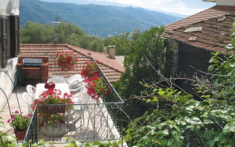 Agnese (Dol235): Pianta, Cielo, Fiore, Proprietà, Nube, Costruzione, Finestra, Biome, Montagna, Casa