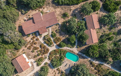 Mare di Ginepri (Bad115)