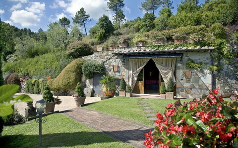 Al Mennucci: Giardino, Proprietà, Paesaggio Naturale, Giardino Botanico, Costruzione, Cortile, Casa, Estate, Landscaping, Botanica