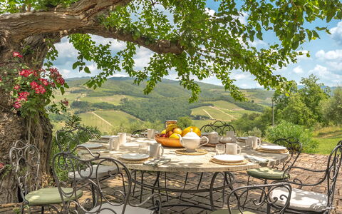 Camporempoli: Mobilia, Tavolo, Sedia, Mobili Da Esterno, Cucina & Sala Da Pranzo Tavolo, Tavolo Esterno, Tovaglia, Ristorante, Giardino