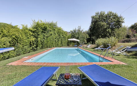 Casa Rosa: Piscina, Proprietà, Erba, Tempo Libero, Immobiliare, Albero, Casa, Backyard, Casa, Estate