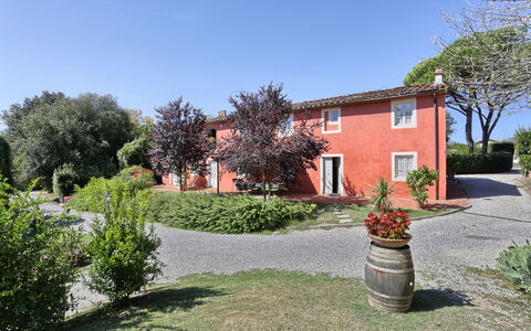 Casa Rosa: Proprietà, Casa, Casa, Immobiliare, Estate, Villetta, Zona Residenziale, Costruzione, Botanica, Giardino