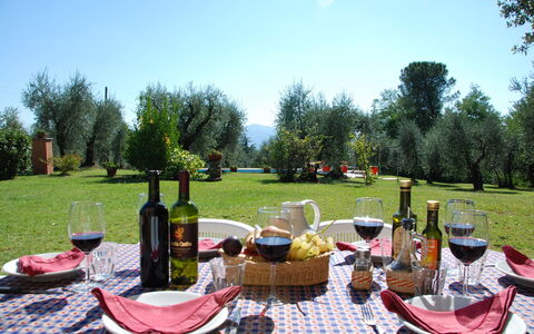 Casa Tonio: Pasto, Picnic, Evento, Ricreazione, Tavolo, Fotografia, Tovaglia, Biancheria, Paesaggio, Ristorante