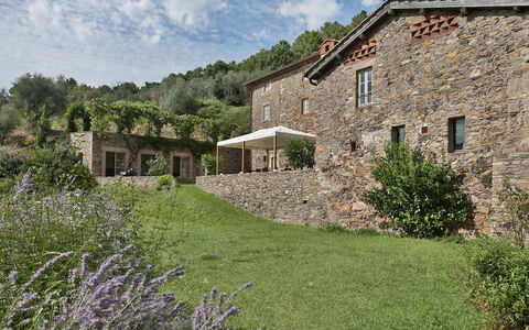 Chiodo: Proprietà, Casa, Paesaggio Naturale, Villetta, Costruzione, Erba, Area Rurale, Parete, Agriturismo, Graminacee