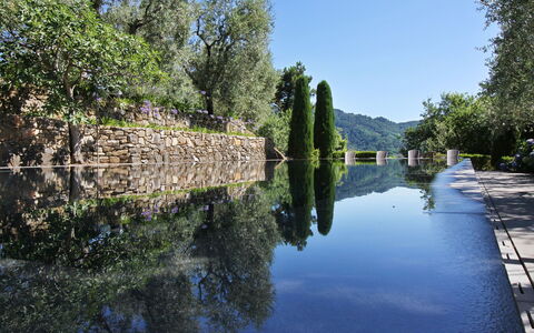 Macennere: Corpo D'Acqua, Waterway, Acqua, Riflessione, Canale, Fiume, Alveo, Albero, Risorse Idriche, Paesaggio Naturale