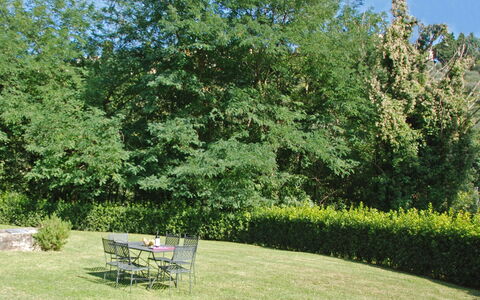 Magrini: Albero, Giardino, Proprietà, Paesaggio Naturale, Erba, Arbusto, Pianta, Woody Impianto, Botanica, Prato
