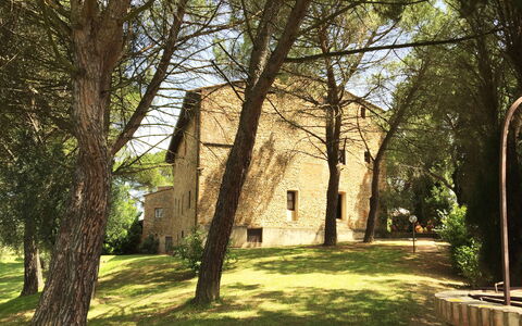 Malmantile: Albero, Erba, Woody Impianto, Architettura, Luce Del Sole, Costruzione, Pianta, Primavera, Casa, Woodland