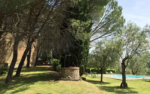 Malmantile: Albero, Natura, Paesaggio Naturale, Erba, Ambiente Naturale, Giorno, Woody Impianto, Cielo, Pianta, Primavera