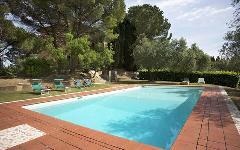 Malmantile: Piscina, Proprietà, Tempo Libero, Erba, Immobiliare, Casa, Backyard, Casa, Rettangolo, Albero