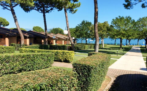 Desenzano 617: Pianta, Cielo, Albero, Vegetazione, Lotto, Erba, Shade, Urban Design, Tempo Libero, Hedge