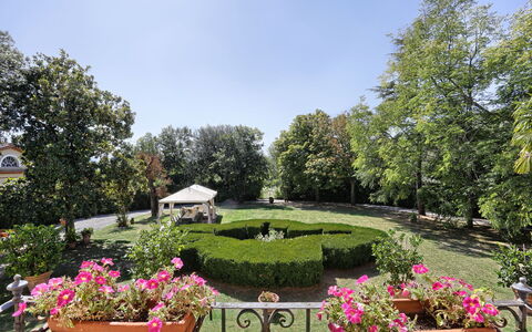 Villa Clara 20: Giardino, Proprietà, Giardino Botanico, Botanica, Immobiliare, Estate, Pianta, Albero, Cortile, Fiore