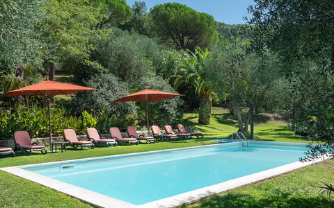 Villa Igea 13: Pianta, Acqua, Proprietà, Cielo, Piscina, Natura, Albero, Shade, Costruzione, Ombrello