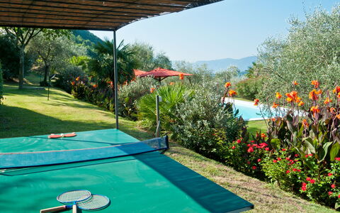 Villa Igea 13: Acqua, Pianta, Fiore, Proprietà, Cielo, Natura, Verde, Azzurro, Piscina, Costruzione