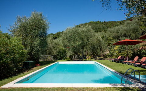 Villa Igea 13: Acqua, Cielo, Pianta, Proprietà, Piscina, Shade, Albero, Paesaggio Naturale, Rettangolo, Paesaggio