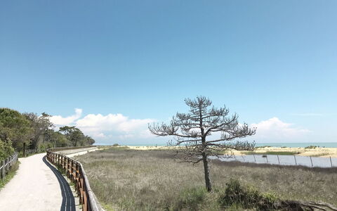 Torcello: Legna, Illuminazione, Interior Design, Pavimentazione, Pavimento, Soggiorno, Immobiliare, Latifoglie, Tavolo, Fascio