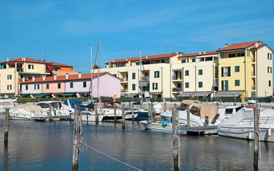 Albatros