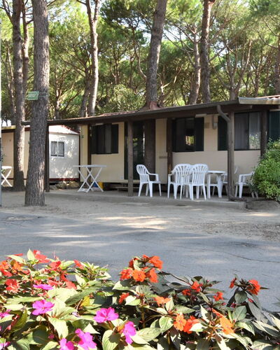 Camping Florenz 608.1