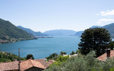 La Coccinella