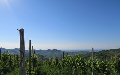 Ca' Del Vento: Legna, Illuminazione, Interior Design, Pavimentazione, Pavimento, Soggiorno, Immobiliare, Latifoglie, Tavolo, Fascio