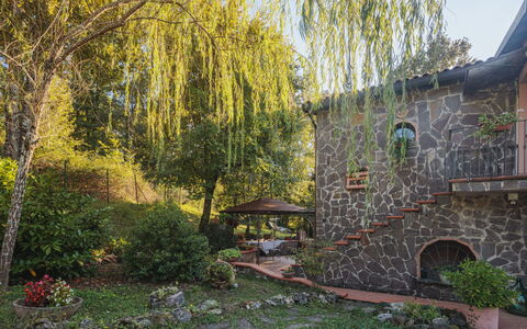 Grande Quercia: Pianta, Foglia, Paesaggio Naturale, Albero, Costruzione, Cielo, Luce Del Sole, Erba, Lotto, Finestra