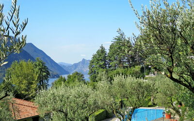 Poggio degli Ulivi