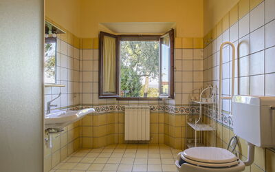 Alloggio:&nbsp;Campiglia 617.3
