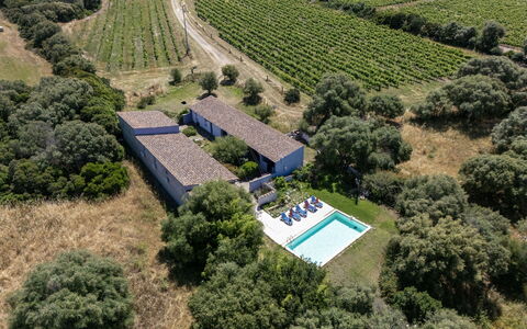 Oliviola: Estate, Casa, Zona Residenziale, Piscina, Agriturismo, Casa, Insediamento Umano, Villetta, Ricorrere, Hacienda