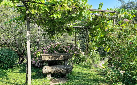 Casa Lienartova: Verde, Foglia, Giardino, Comunita 'Impianto, Shade, Primavera, Groundcover, Cortile, Giardino Botanico