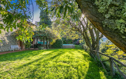 Belvedere: Pianta, Paesaggio Naturale, Ramo, Albero, Shade, Erba, Groundcover, Tempo Libero, Tronco