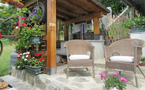 Casa Kiwi: Fiore, Pianta, Costruzione, Vaso Di Fiori, Pianta Della Casa, Shade, Interior Design, Mobili Da Esterno, Sedia