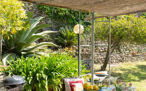 Molini di Prelà 627: Pianta, Vaso Di Fiori, Botanica, Pianta Della Casa, Sedia, Giallo, Shade, Erba, Impianto Terrestre, Paesaggio