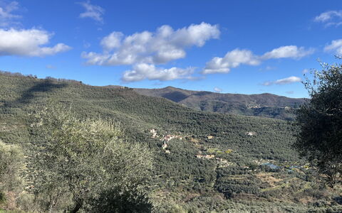 Valloria 602: Geografia Montane, Montagna, Vegetazione, Collina, Highland, Ecoregione, Comunita 'Impianto, Paesaggio, Natura Selvaggia, Terreno