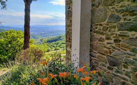 Villa Fusai: Natura, Vegetazione, Fiore, Pianta, Albero, Foglia, Parete, Wildflower, Erba, Botanica