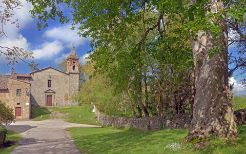 Casa Di Lilli: Erba, Paesaggio, Pascolo, Area Rurale, Prato, Pascolo, Castello, Monastero