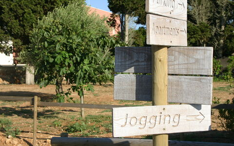 Tenuta Vigna Corallo: Parete, Albero, Lotto, Paesaggio, Segnaletica, Pianta, Parco Nazionale, Roccia, Parco Statale, Cartello