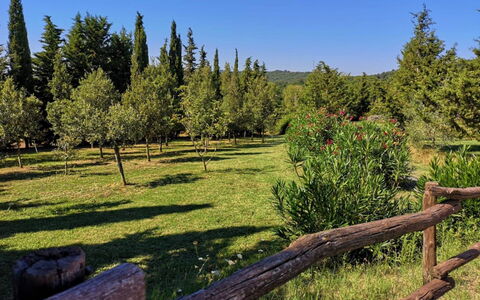 Villa Martina: Paesaggio Naturale, Natura, Albero, Ambiente Naturale, Natura Selvaggia, Riserva Naturale, Biome, Recinzione, Foresta