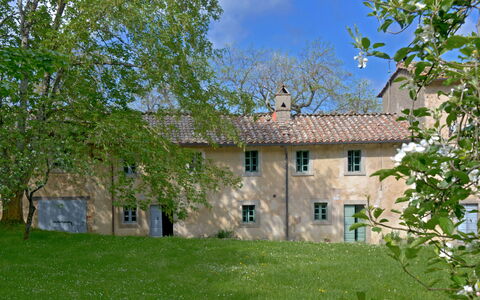 Casa Di Giulio: Albero, Costruzione, Ramo, Casa, Casa, Lotto, Insediamento Umano, Estate, Prato, Villetta