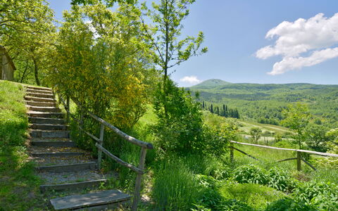 Casa Dell'ambasciatore: Verde, Natura, Ambiente Naturale, Paesaggio Naturale, Geografia Montane, Vegetazione, Collina, Arbusto, Estate, Paesaggio