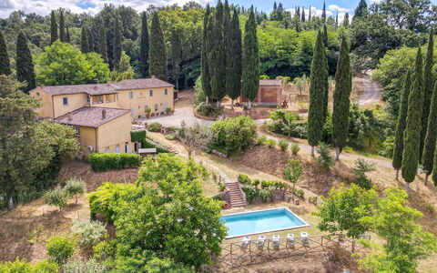 Villa Bacco: Albero, Arbusto, Paesaggio, Casa, Casa, Lotto, Estate, Area Rurale, Giardino, Landscaping