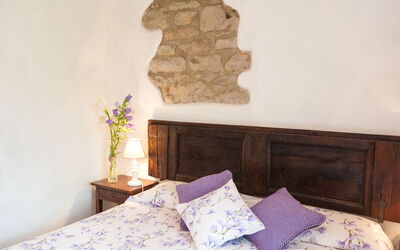 Alloggio:&nbsp;Tabaccaia