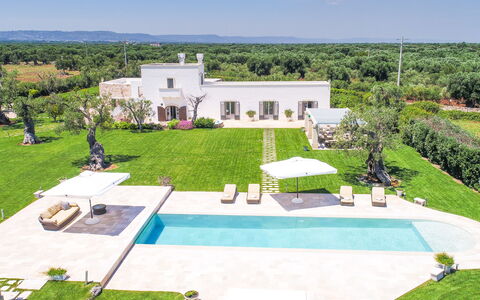 Masseria Villa Il Frantoio: Proprietà, Casa, Estate, Zona Residenziale, Costruzione, Immobiliare, Piscina, Erba, Casa, Lotto